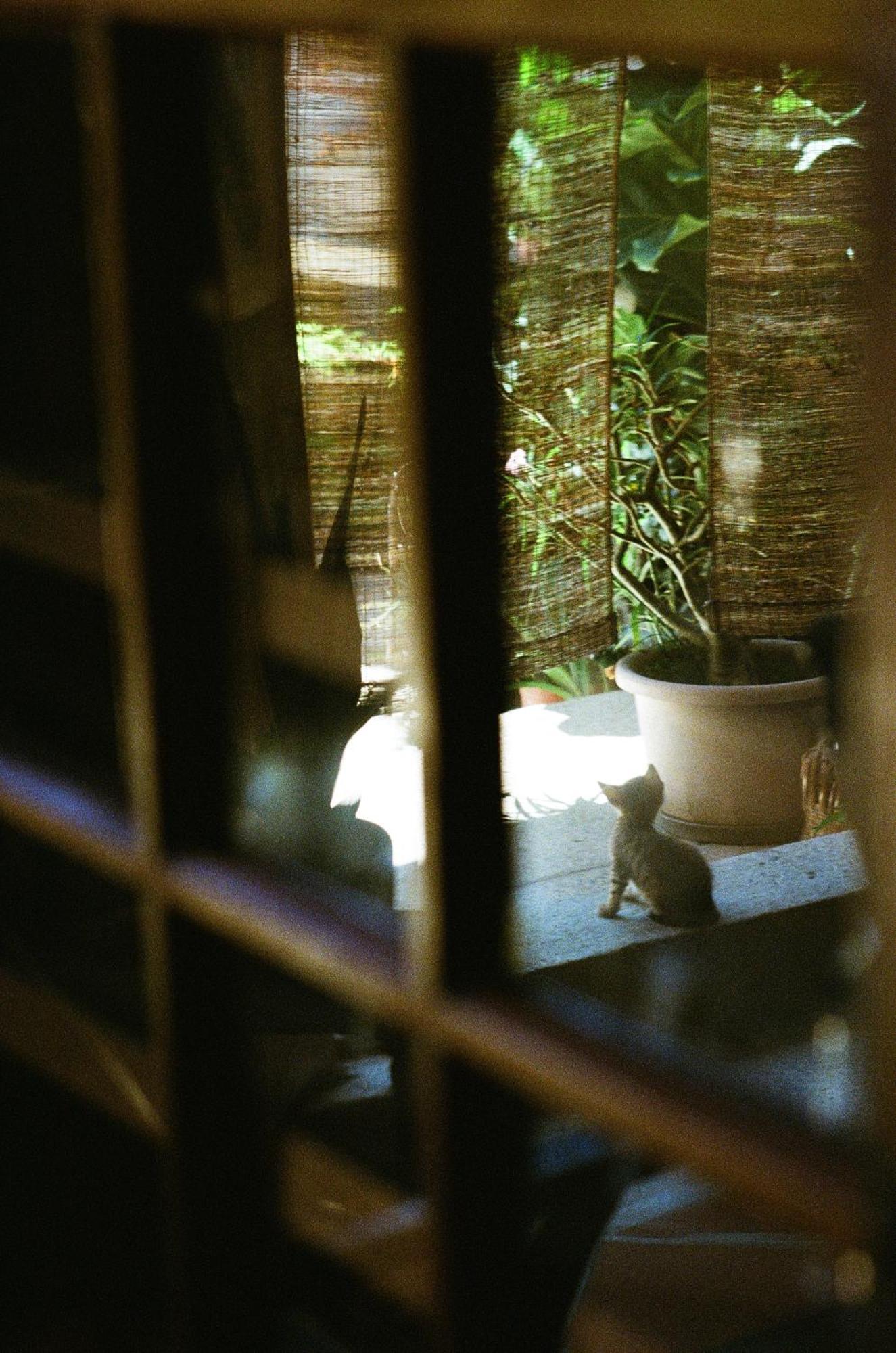 Dwell In Quemoy Homestay 金城鎮 エクステリア 写真